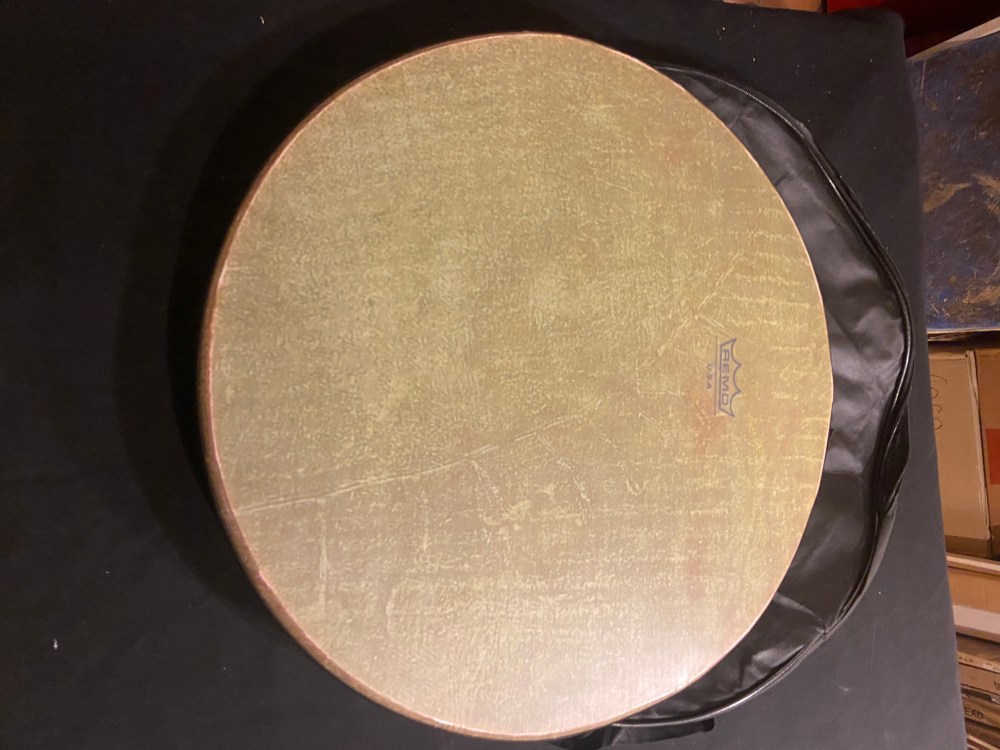 Daf synthétique model Remo imitation peau de poisson (06)