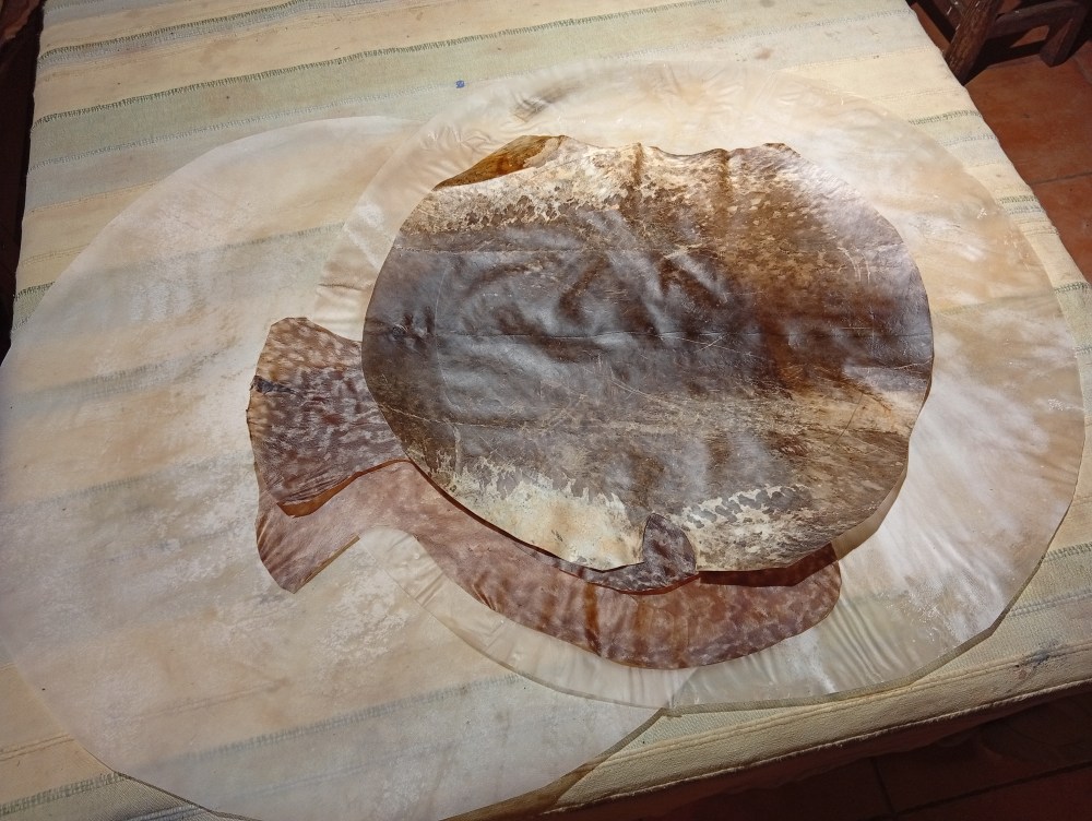 peau mix  peau de chevre raie et siluer